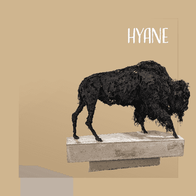 Sculpture de HYANE